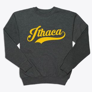 Ithaca Wisconsin Vintage Team Premium Crewneck Sweatshirt