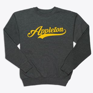 Appleton Wisconsin Vintage Team Premium Crewneck Sweatshirt