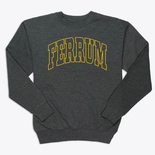Ferrum Virginia Trendy Block Premium Crewneck Sweatshirt