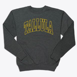 Tallula Illinois Trendy Block Premium Crewneck Sweatshirt