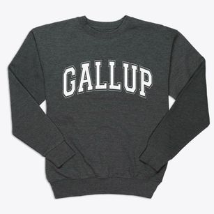 Gallup New Mexico Varsity Premium Crewneck Sweatshirt