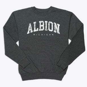 Albion Michigan Urban Vibe Premium Crewneck Sweatshirt