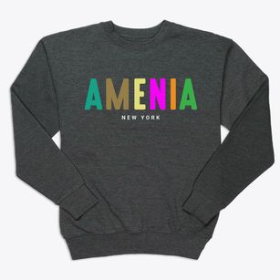 Amenia New York Color Pop Premium Crewneck Sweatshirt