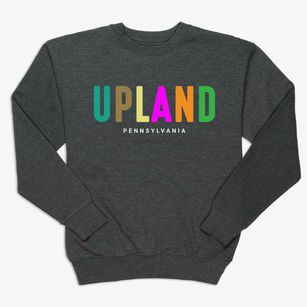 Upland Pennsylvania Color Pop Premium Crewneck Sweatshirt