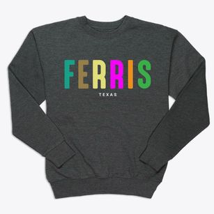 Ferris Texas Color Pop Premium Crewneck Sweatshirt