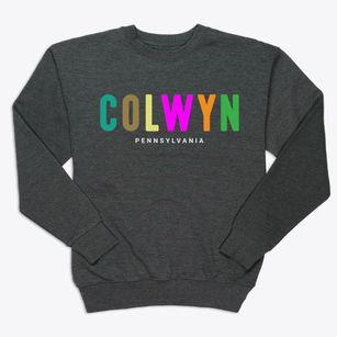 Colwyn Pennsylvania Color Pop Premium Crewneck Sweatshirt