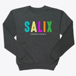 Salix Pennsylvania Color Pop Premium Crewneck Sweatshirt