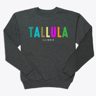 Tallula Illinois Color Pop Premium Crewneck Sweatshirt
