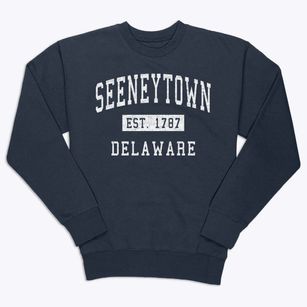 Seeneytown Delaware Classic Established Premium Crewneck Sweatshirt