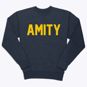 Amity New York Classic Block Premium Crewneck Sweatshirt