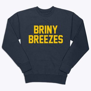 Briny Breezes Florida Classic Block Premium Crewneck Sweatshirt