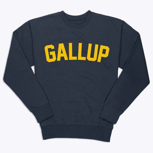 Gallup New Mexico Classic Curve Premium Crewneck Sweatshirt
