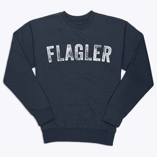 Flagler Colorado Timeless Retro Premium Crewneck Sweatshirt