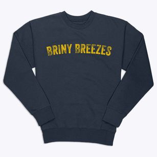 Briny Breezes Florida Timeless Retro Premium Crewneck Sweatshirt