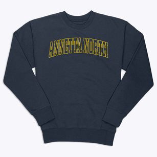 Annetta North Texas Trendy Block Premium Crewneck Sweatshirt