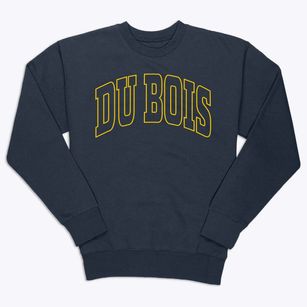 Du Bois Illinois Trendy Block Premium Crewneck Sweatshirt