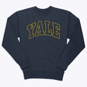 Yale Illinois Trendy Block Premium Crewneck Sweatshirt