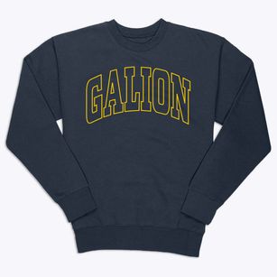 Galion Ohio Trendy Block Premium Crewneck Sweatshirt
