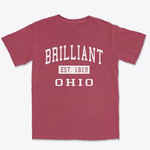 Brilliant Ohio Classic Established Premium Heavyweight T-shirt
