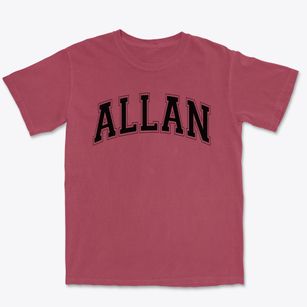 Allan Elementary School Varsity Arch Premium Heavyweight T-shirt