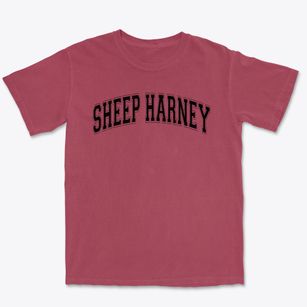 Sheep Harney Elementary School Varsity Arch Premium Heavyweight T-shirt