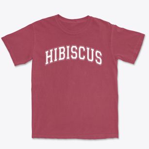 Hibiscus Elementary School Varsity Arch Premium Heavyweight T-shirt