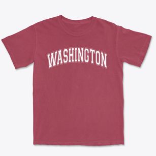 Washington Elementary School Varsity Arch Premium Heavyweight T-shirt