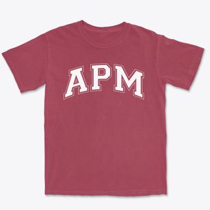 Academy For Plastics Manufacturing Varsity Arch Premium Heavyweight T-shirt