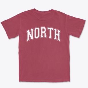 North Intermediate School Varsity Arch Premium Heavyweight T-shirt