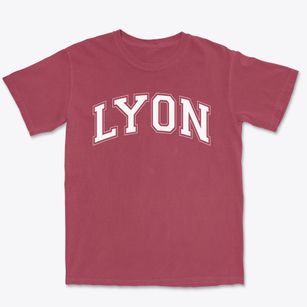 Lyon Academy Of Basic Instruction Varsity Arch Premium Heavyweight T-shirt