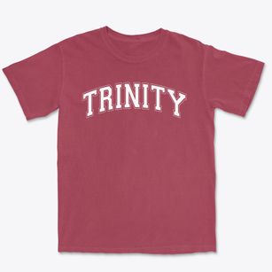 Trinity School Varsity Arch Premium Heavyweight T-shirt
