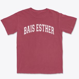Bais Esther Elementary School Varsity Arch Premium Heavyweight T-shirt