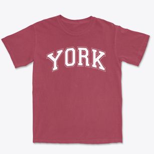 York Elementary School Varsity Arch Premium Heavyweight T-shirt