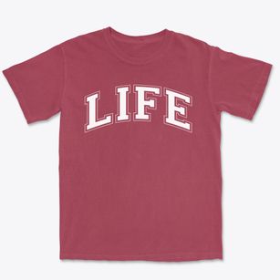 Life Christian School Varsity Arch Premium Heavyweight T-shirt