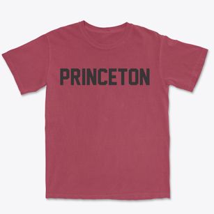 Princeton Kentucky Classic Block Premium Heavyweight T-shirt