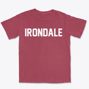 Irondale Alabama Classic Block Premium Heavyweight T-shirt