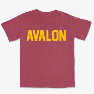 Avalon California Classic Block Premium Heavyweight T-shirt