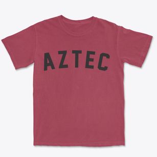Aztec Arizona Classic Curve Premium Heavyweight T-shirt