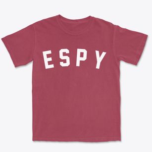 Espy Pennsylvania Classic Curve Premium Heavyweight T-shirt
