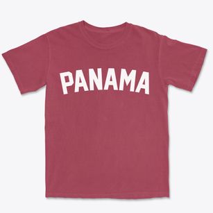 Panama New York Classic Curve Premium Heavyweight T-shirt