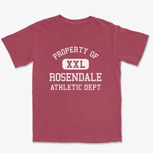 Rosendale New York Athletic Dept Premium Heavyweight T-shirt