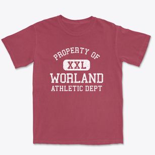 Worland Wyoming Athletic Dept Premium Heavyweight T-shirt