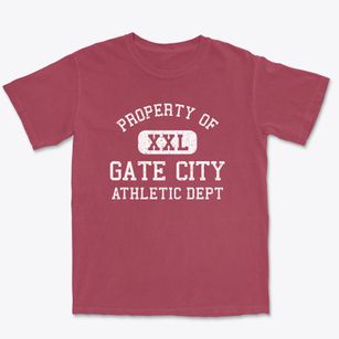 Gate City Virginia Athletic Dept Premium Heavyweight T-shirt
