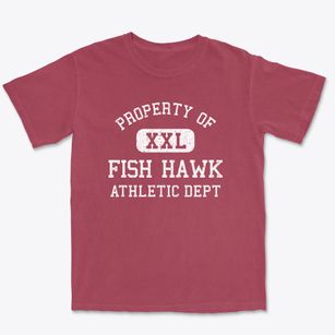 Fish Hawk Florida Athletic Dept Premium Heavyweight T-shirt