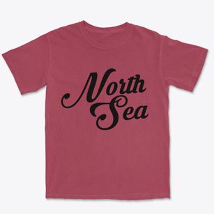 North Sea New York Vintage Team Premium Heavyweight T-shirt