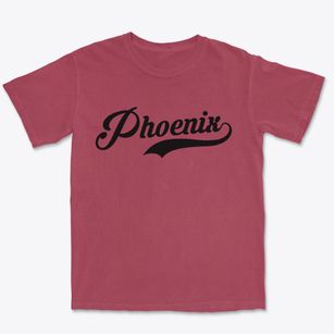 Phoenix New York Vintage Team Premium Heavyweight T-shirt