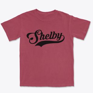 Shelby Alabama Vintage Team Premium Heavyweight T-shirt