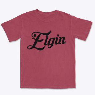 Elgin Illinois Vintage Team Premium Heavyweight T-shirt