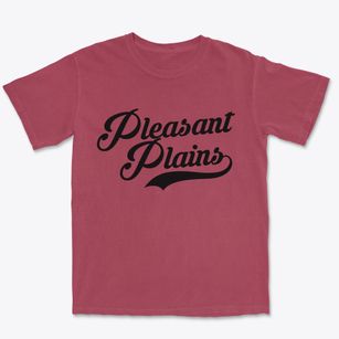 Pleasant Plains New Jersey Vintage Team Premium Heavyweight T-shirt