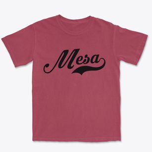 Mesa Arizona Vintage Team Premium Heavyweight T-shirt